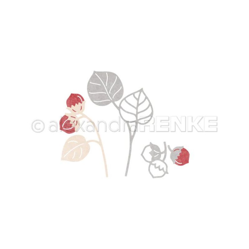 Piggy Craft metalen stansmesse - Stencil Cutting Plotter recensie en prijs