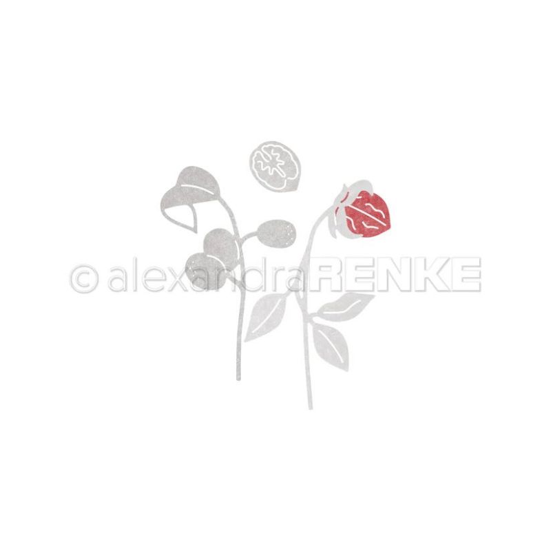 Piggy Craft metalen stansmesse - Stencil Cutting Plotter recensie en prijs