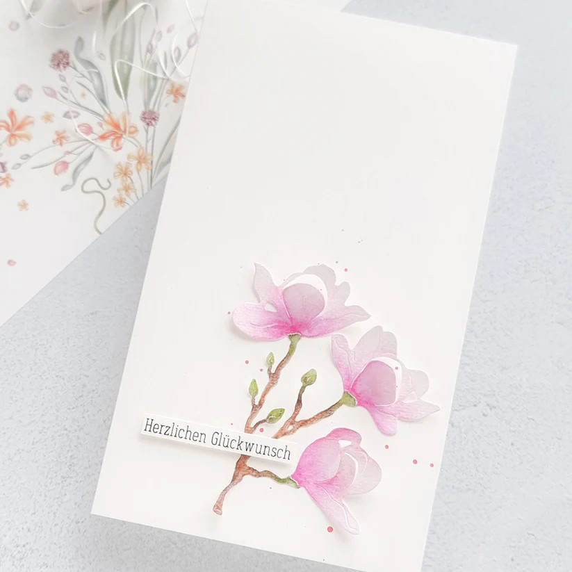 Piggy Craft metalen stansmesse - Stencil Cutting Plotter recensie en prijs